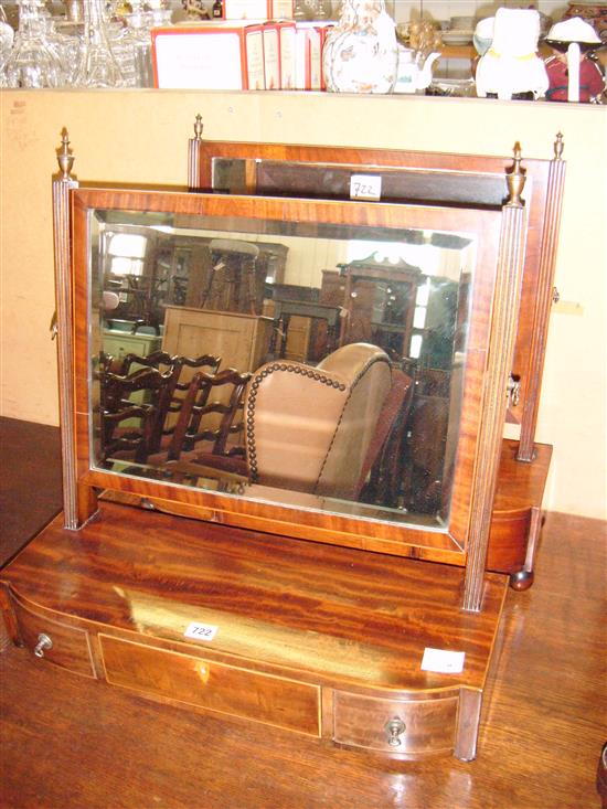 Two George III bowfronted toilet mirrors